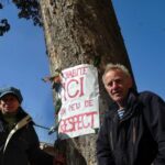 découvrez nos services d'abattage de magnolia en toute sécurité. nous garantissons une intervention professionnelle et respectueuse de l'environnement, pour un jardin sain et esthétique. contactez-nous pour un devis personnalisé.